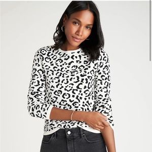 Ann Taylor | White Leopard Print Sweater XSP